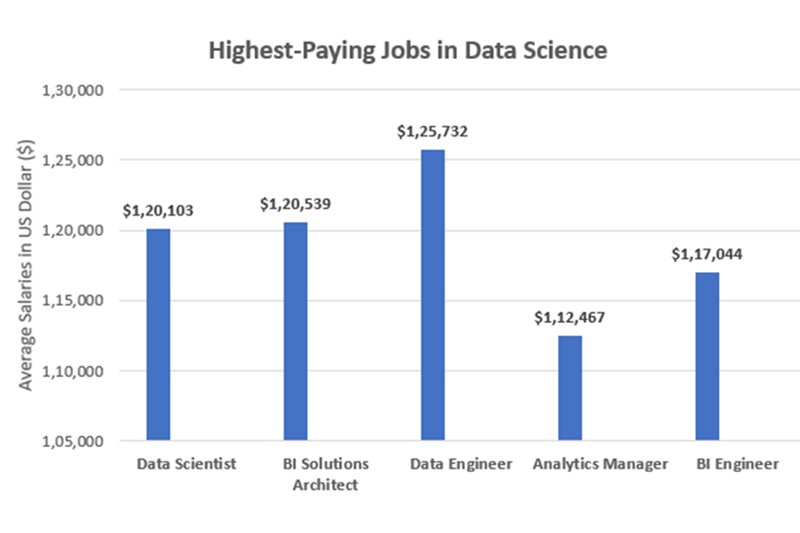 Careers after Data Science Training