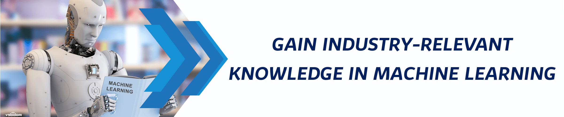 Machine Learning Training in Colorado Springs