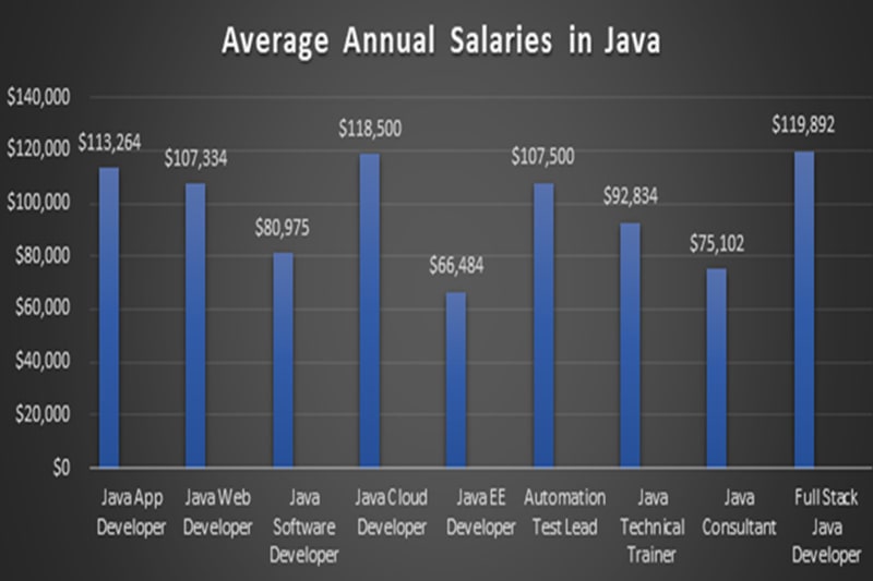 Average Annual Salaries in Java