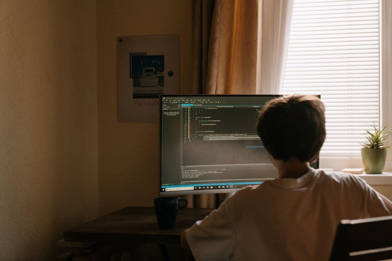 What-are-the-perks-of-learning-Python