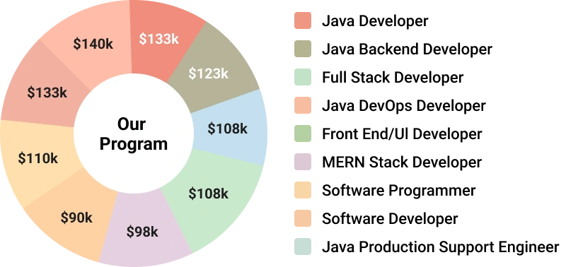 Job Roles After Completion of Our Program